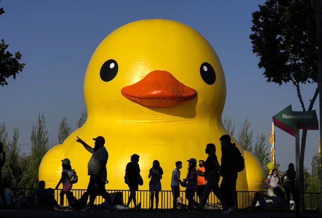 Visitors are silhouetted against a giant inflatable rubber duck designed by Dutch artist Florentijn Hofman floating in a lake at the Parque de la Familia in Santiago, Chile, Thursday, October 28, 2021. The world-famous sculpture of the iconic bath time toy is a part of the annual “Hecho en Casa”, or Made at Home festival that celebrates urban art. (Photo by Esteban Felix/AP Photo)