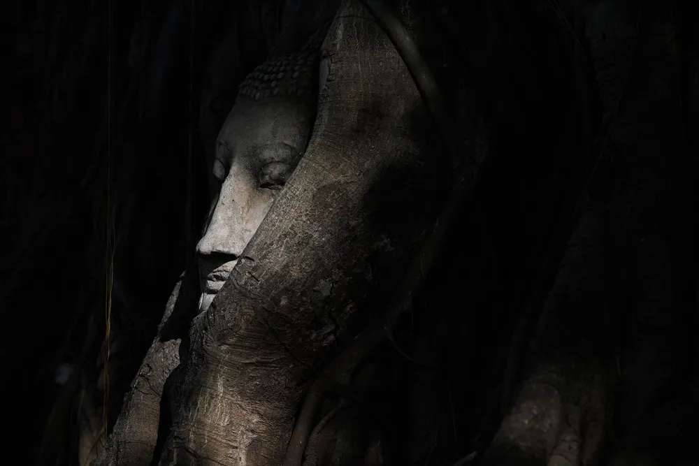 The Day in Photos – August 12, 2015