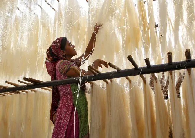 A woman arranges strands of vermicelli, a specialty eaten during the Muslim holy fasting month of Ramadan, which are kept out to dry at a factory in Allahabad, India, June 29, 2016. (Photo by Jitendra Prakash/Reuters)