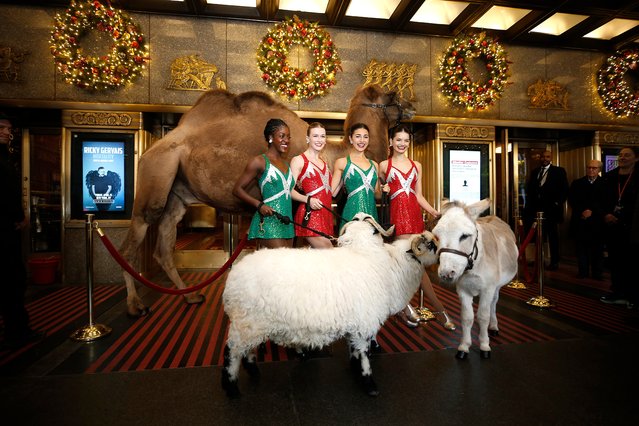 Radio City Rockettes pose during the blessing of the animals from The Christmas Spectacular's “Living Nativity” scene at Radio City Music Hall at Radio City Music Hall on October 28, 2024 in New York City. (Photo by John Lamparski/Getty Images)