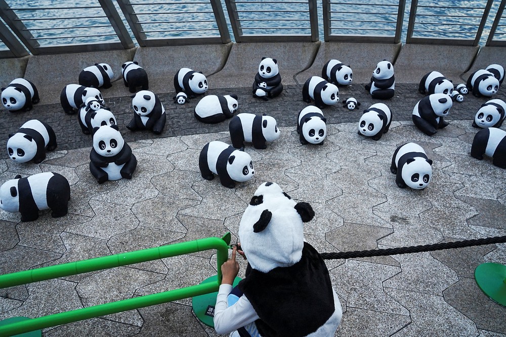 A Look at Life in China