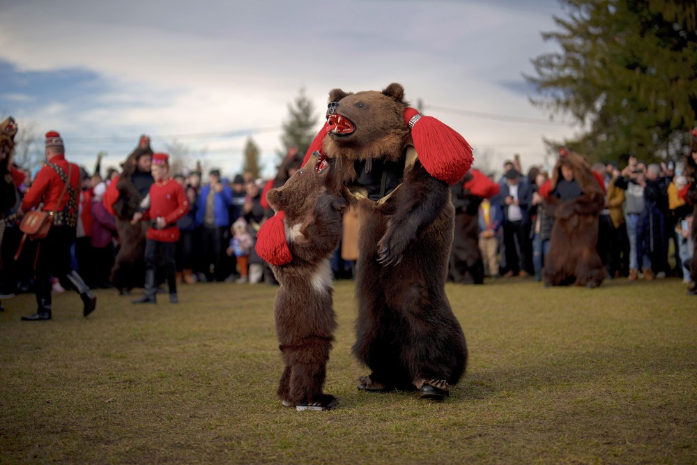 Pictures of the Year 2023, Part 211/224