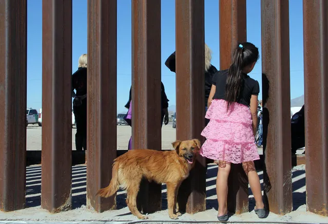 A young girl observes with her dog the “Not Walls” demonstration by activists in the US in front of the wall that divides Ciudad Juarez, Mexico, from Sunland Park, New Mexico, on October 23, 2017. (Photo by Herika Martinez/AFP Photo)