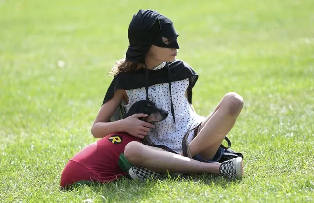 Dressed as Batman and Robin, Connie Fouracre and her dog Bruce wait during judging at a dog fancy dress event  in London, Britain September 13, 2015. (Photo by Suzanne Plunkett/Reuters)
