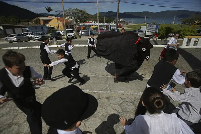 In this November 11, 2017 photo, children run from a person dressed as a charging bull during the Azorean Culture Festival, which celebrates the culture of the Azores, the Portuguese island chain that lies in the mid-Atlantic, in Enseada de Brito, in Brazil's Santa Catarina southern state. During the festival, artisans also showcase traditional crafts, including lace making and pottery. (Photo by Eraldo Peres/AP Photo)
