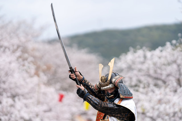 A man dressed in a samurai warrior costume poses for a photograph during the Kanoukaen Fire Festival on March 29, 2025 in Unzen, Nagasaki Prefecture, Japan. The fire festival which is based on a story depicted in a historical scroll over 400 years old was held in the cherry blossom season in the country. (Photo by Tomohiro Ohsumi/Getty Images)