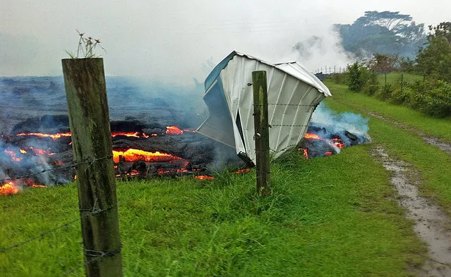 This October 25, 2014 photo provided by the U.S. Geological Survey shows a small shed being consumed by lava in a pasture between the Pahoa cemetery and Apa'a Street near the town of Pahoa on the Big Island of Hawaii. (Photo by AP Photo/U.S. Geological Survey)