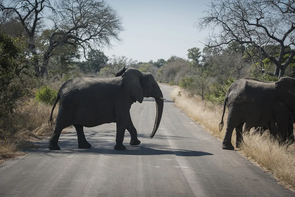 A Look at Life in Africa