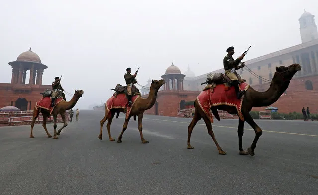 Members of the Indian Border Security Force (BSF) ride their camels during rehearsals for the Republic Day parade on a winter morning in New Delhi, India January 5, 2016. (Photo by Saumya Khandelwal/Reuters)