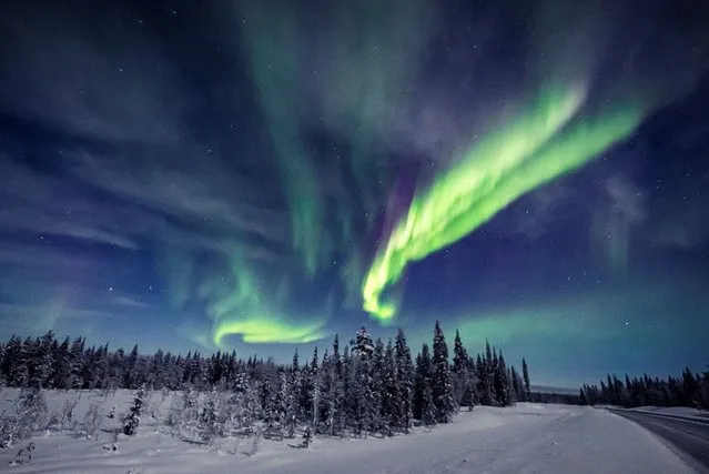 An aurora is seen in the sky in Pajala, Sweden, February 10, 2022. (Photo by Alexander Kuznetsov/Reuters)