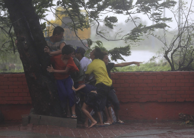 People take cover under a tree after strong winds brought by Typhoon Rammasun battered metro Manila, July 2014. (Photo by Romeo Ranoco/Reuters)
