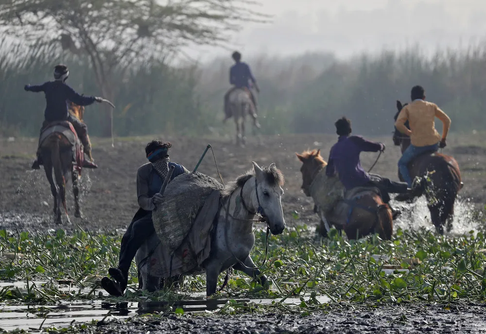 A Look at Life in India