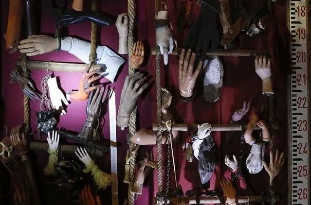 A collection of wooden, iron, and plastic hands is displayed in the Museum of Domenico Agostinelli in Dragona, near Rome October 30, 2014. (Photo by Tony Gentile/Reuters)