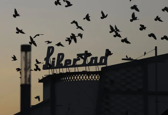 Birds fly next to a sign with the name of the Libertad Theater in San Salvador, El Salvador, Tuesday, February 28, 2023. (Photo by Salvador Melendez/AP Photo)