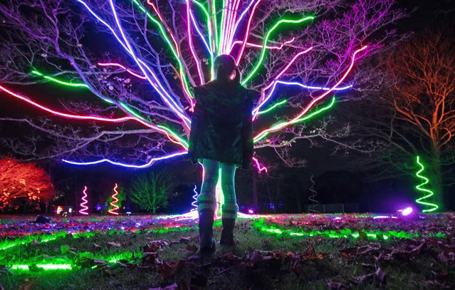 Lulu Kingstone, 9, looks up at Neon lights cascading down from one of Kew's heritage trees, during a preview for “Christmas at Kew” at the Royal Botanic Gardens in Kew, London on December 2, 2020. (Photo by Andrew Matthews/PA Images via Getty Images)