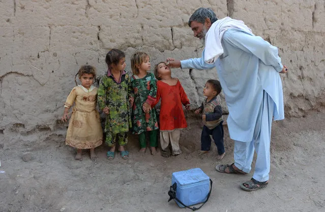 An Afghan health worker administers the polio vaccine to a child during a campaign on the outskirts of Jalalabad on October 17, 2016 Polio, once a worldwide scourge, is endemic in just three countries now – Afghanistan, Nigeria and Pakistan. (Photo by Noorullah Shirzada/AFP Photo)