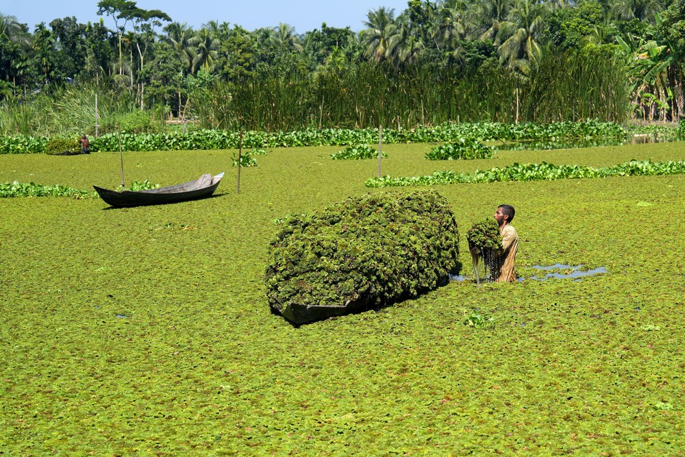 A Look at Life in Bangladesh
