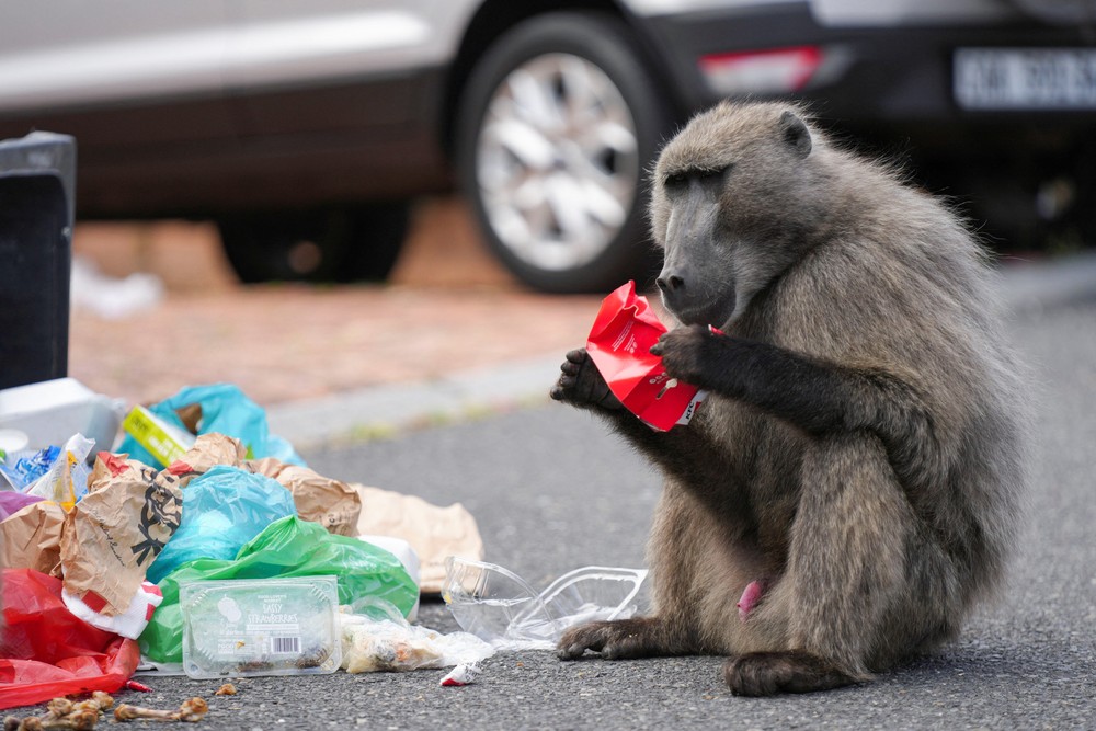 Pictures of the Year 2024, Part 197/240