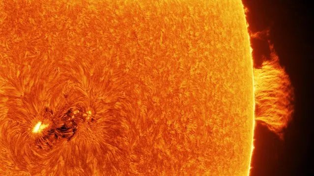 The sunspot AR2665, one of the most active regions in 2017, captured by Poland's Lukasz Sujka. (Photo by Lukasz Sujka/Astronomy Photographer of the Year 2018)
