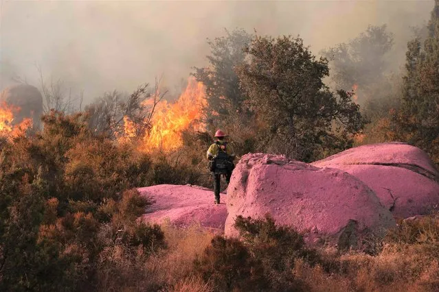 A firefighter stands on a rock covered with pink fire retardant while monitoring the Gavilan Fire, which has already burned more than 250 acres in Perris, Riverside County, California, on July 15, 2023. Brutally high temperatures threatened tens of millions of Americans July 15, as numerous cities braced to break records under a relentless heat dome that has baked parts of the country all week. The National Weather Service warned of an “extremely hot and dangerous weekend,”"with daytime highs reaching up to 116 Fahrenheit (47 degres celsius). (Photo by David Swanson/AFP Photo)