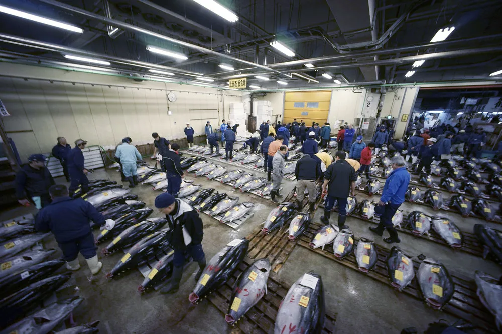 80-year-old Tokyo Fish Market holds Final New Year Auction