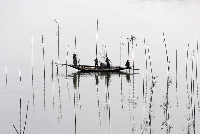 Fishermen place bamboo, where they will later place tree branches and fish food, to catch fish in a river in Dhaka, Bangladesh November 28, 2016. (Photo by Mohammad Ponir Hossain/Reuters)