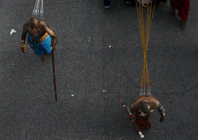 Devotees pull chariots with hooks pierced to their backs during Thaipusam festival in Singapore January 24, 2016. (Photo by Edgar Su/Reuters)