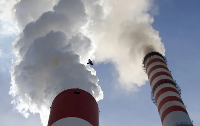 In this photo taken Wednesday, October 3, 2018, a bird flies past as smoke emits from the chimneys of Serbia's main coal-fired power station near Kostolac, Serbia. The COP 24 UN Climate Change Conference is taking place in Katowice, Poland. Negotiators from around the world are meeting for talks on curbing climate change. (Photo by Darko Vojinovic/AP Photo)