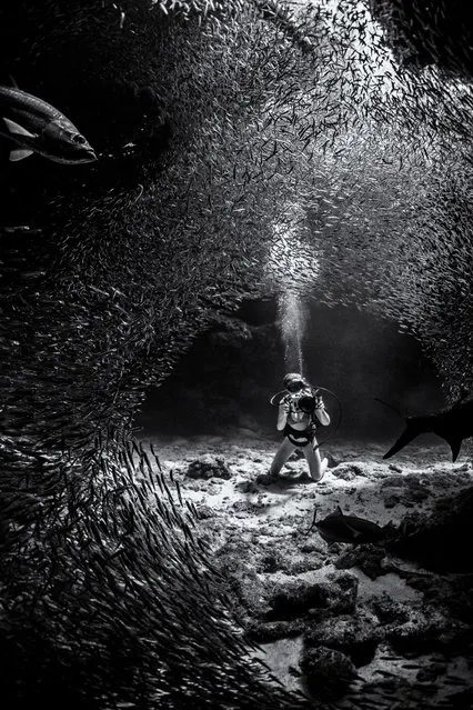 Black and white category runner-up. Mercury Tunnel by Ken Kiefer (US) in Eden’s Rock, Grand Cayman. “My wife and I were visiting Cayman for the first time. We were mostly diving from a boat on this trip and heard a rumour about silversides making a short appearance near Devil’s Grotto. It is a rare event, but absolutely magical to witness. Hundreds of thousands of these tiny fish flow like mercury through the multiple swim throughs trying to avoid becoming dinner for the massive tarpon in the area ... I was thrilled to capture the moment!”. (Photo by Ken Kiefer/Underwater Photographer of the Year 2019)