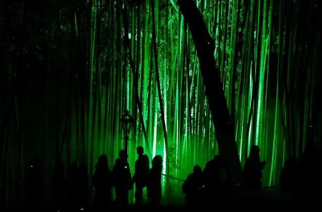 People visit the exhibition Incanto di Luci (Enchantment of Lights) along an illuminated trail setted up at the Botanical Garden in Rome, Italy on December 7, 2022. (Photo by Yara Nardi/Reuters)