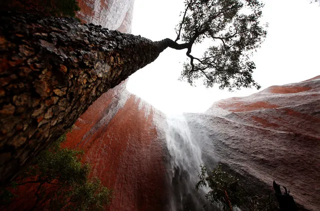 A waterfall is seen in Kantju Gorge as it rains at Uluru on November 28, 2013 in Uluru-Kata Tjuta National Park, Australia. Uluru/ Ayers Rock is a large sandstone formation situated in central Australia approximately 335km from Alice Springs. The site and its surrounding area is scared to the Anangu people, the Indigenous people of this area and is visited by over 250,000 people each year.  (Photo by Mark Kolbe/Getty Images)