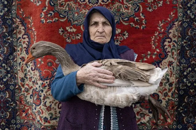 70 years old Tukezziban Pastutmaz, living in Kuyucuk village of Kars, a goose breeder for 50 years poses for a photo with a goose in Kars, Turkiye on January 20, 2024. Goose breeding, which constitutes an important source of income for the local people, is widely practiced in the city, especially in the form of family farms. Female goose breeders look after and raise goose since their youth age despite the harsh climate conditions. (Photo by Ismail Kaplan/Anadolu via Getty Images)