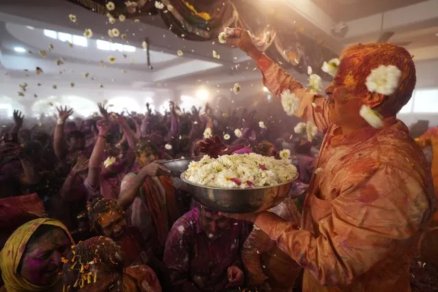 A man throws flowers towards devotees during Holi festival celebration at the Lord Jagannath temple in Ahmedabad, India, Monday, March 25, 2024. (Photo by Ajit Solanki/AP Photo)