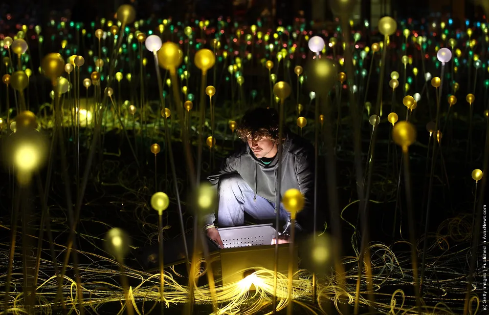 The Holbourne Musuem Unveils A New Bruce Munro Light Installation