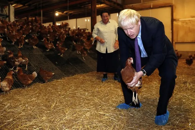 Britain's Prime Minister Boris Johnson, accompanied by local farmer Ingrid Shervington, holds a chicken during his visit to rally support for his farming plans post-Brexit, at Shervington Farm, St Brides Wentlooge near Newport, Wales, Britain on July 30, 2019. (Photo by Adrian Dennis/Pool via Reuters)