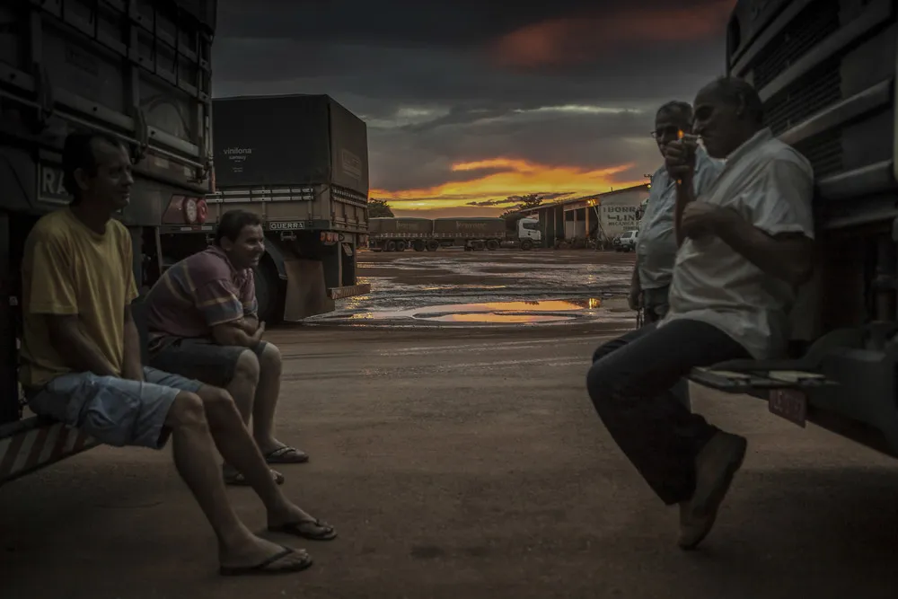 Sony World Photography Awards 2014 Winners, Part 3