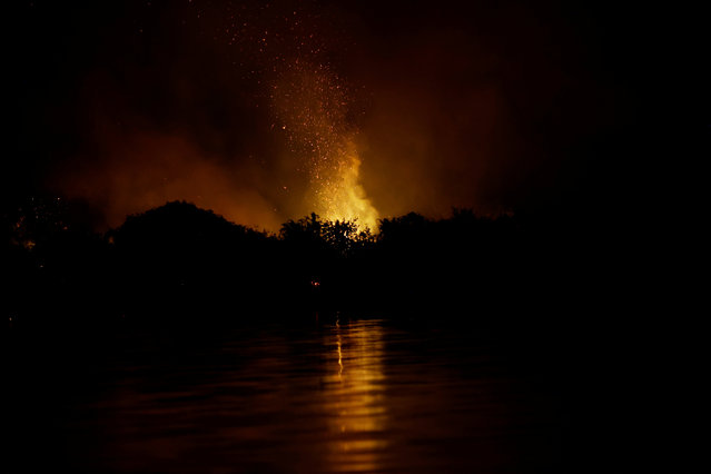 Smoke from a fire rises into the air as trees burn amongst vegetation in the Pantanal, in Corumba, Mato Grosso do Sul state, Brazil, on June 9, 2024. (Photo by Ueslei Marcelino/Reuters)