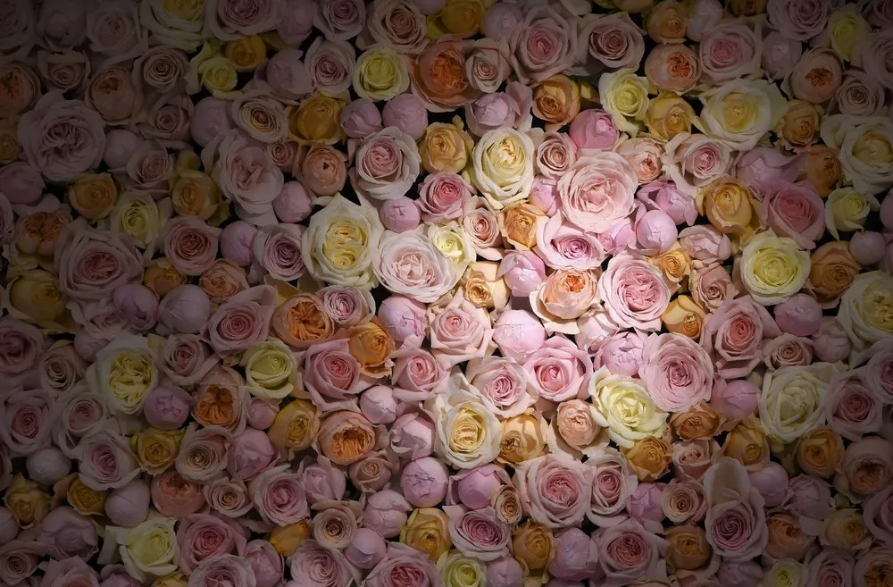 Chelsea Flower Show in London, Part 2