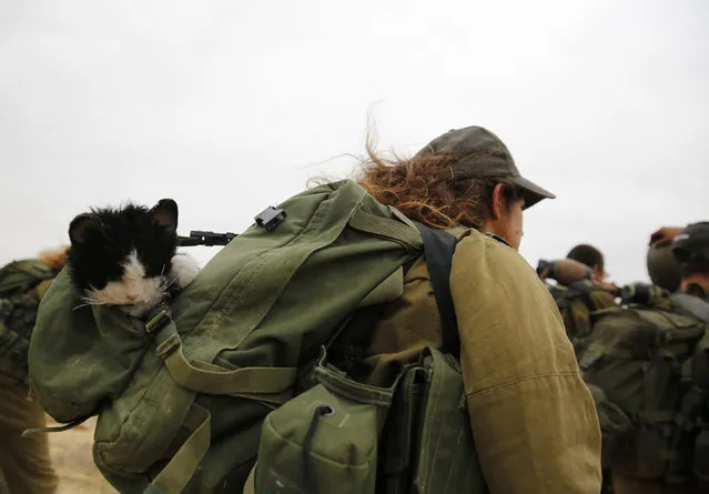 An Israeli soldier of the Caracal battalion walks with a stuffed toy cat in her bag during a 23-kilometer march marking the end of their training in Israel's Negev desert, near Kibbutz Sde Boker February 14, 2013. (Photo by Darren Whiteside/Reuters)
