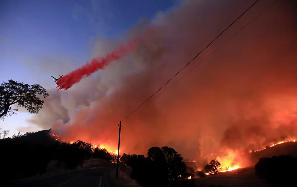 The Day in Photos – July 30, 2015