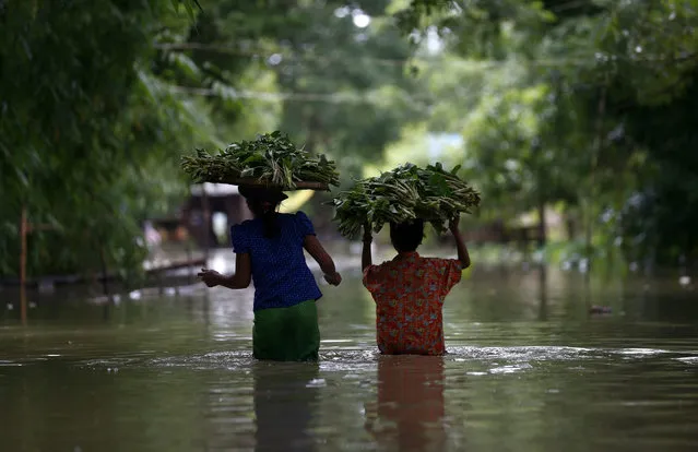 Street vendors selling water grass wade through a flooded road in Dar Ka township of Ayeyarwaddy Region, Myanmar, 12 August 2015. Myanmar's government on 04 August 2015 warned low-lying regions to expect even more flooding after heavy rainfall brought havoc to higher areas further north. Weeks of heavy monsoon rain have affected over one million people, about 100 people so far are reported dead and damaged was caused to more than 687,200 acres of farmland. (Photo by Lynn Bo Bo/EPA)