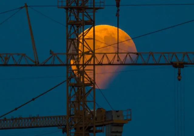 The moon standing in a partial lunar eclipse can be seen behind a constructin crane on August 7, 2017 in Gilching, southern Germany. (Photo by Peter Kneffel/AFP Photo/DPA)