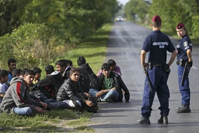 Hungarian policemen detain migrants from Afghanistan after they illegally crossed from Serbia to Hungary near the village of Asttohatolom, Hungary September 16, 2015. Hungary's right-wing government shut the main land route for migrants into the European Union on Tuesday, taking matters into its own hands to halt Europe's influx of refugees. (Photo by Dado Ruvic/Reuters)