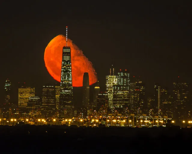 An incredible moon rise behind the World Trade Center, Manhattan, New York on August 23, 2016. The breath-taking photo was taken by photographer Jennifer Khordi. She said: it was just absolutely amazing to see this. (Photo by Jennifer Khordi/Caters News Agency)