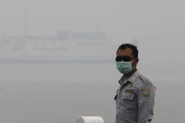 An Indonesian Transportation Department officer walks as haze shrouds the Tanjung Siapi Api port in Palembang, on the Indonesian island of Sumatra, September 19, 2015. (Photo by Reuters/Beawiharta)