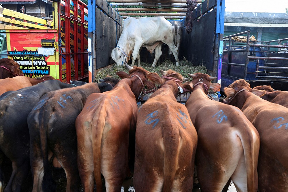 A Look at Life in Indonesia