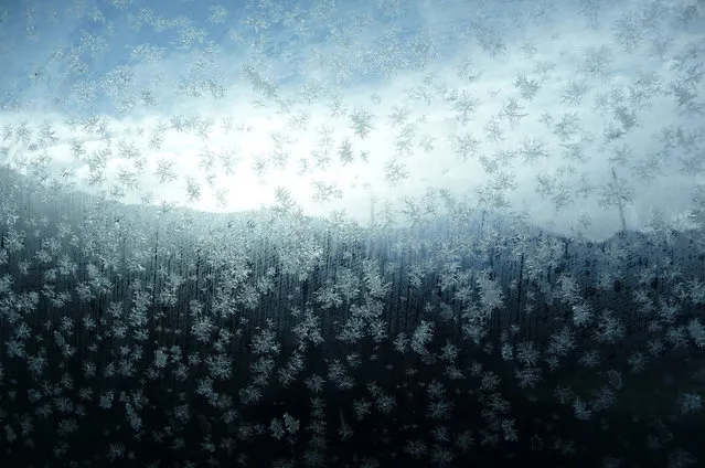 “Snowflakes”. Frozen snowflakes on the sidewindow of the car while driving towards the slopes for a great day of snowboarding. Location: Leissigen, Switzerland. (Photo and caption by Mark Timmermans/National Geographic Traveler Photo Contest)