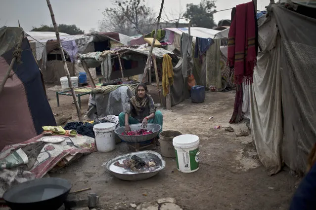 A Pakistani woman washes her laundry outside her makeshift tent in a slum in Rawalpindi, Pakistan, Friday, January 23, 2015. (Photo by Muhammed Muheisen/AP Photo)