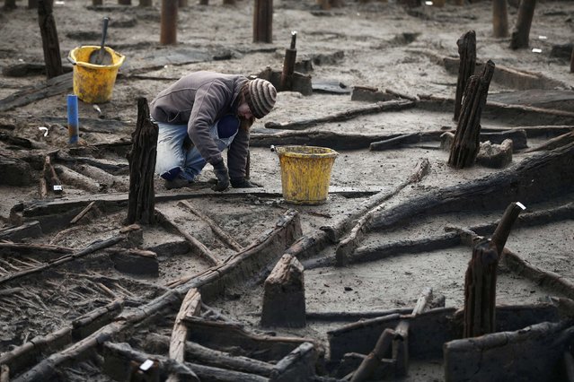 An archaeologist from the University of Cambridge Archaeological Unit, uncovers Bronze Age wooden houses, preserved in silt, from a quarry near Peterborough, Britain, January 12, 2016. (Photo by Peter Nicholls/Reuters)