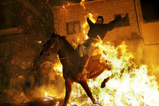 A man rides a horse through the flames during the "Luminarias" annual religious celebration on the eve of Saint Anthony's day, Spain's patron saint of animals, in the village of San Bartolome de Pinares, northwest of Madrid, Spain, January 16, 2016. According to tradition that dates back 500 years, people ride their horses through the narrow cobblestone streets of this small village to purify the animals with the smoke of the bonfires. Picture taken January 16, 2016. REUTERS/Susana Vera